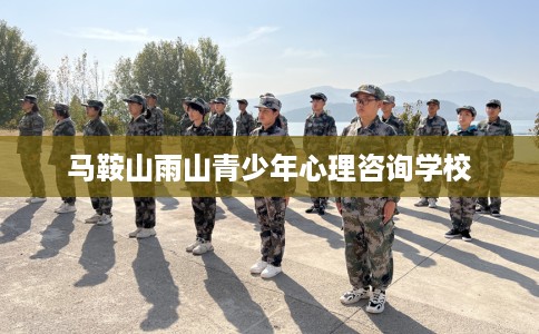 马鞍山雨山青少年心理咨询学校