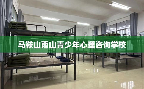 马鞍山雨山青少年心理咨询学校
