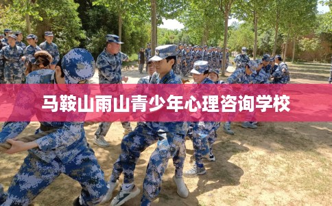 马鞍山雨山青少年心理咨询学校
