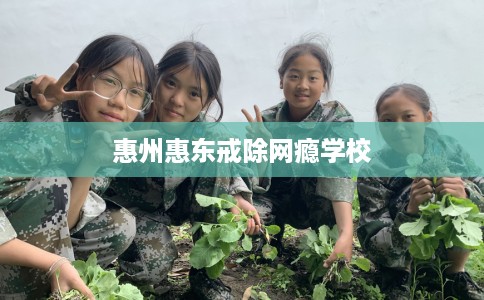 惠州惠东戒除网瘾学校