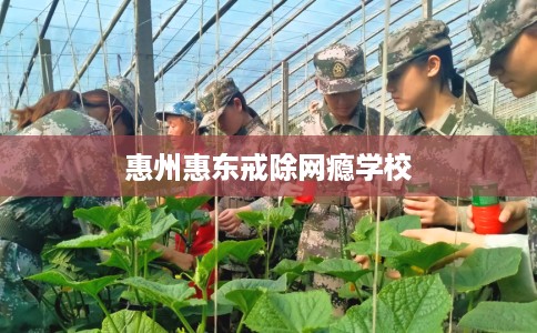 惠州惠东戒除网瘾学校