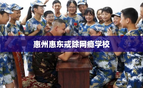 惠州惠东戒除网瘾学校