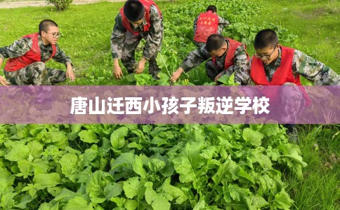 唐山迁西小孩子叛逆学校