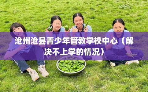 沧州沧县青少年管教学校中心（解决不上学的情况）
