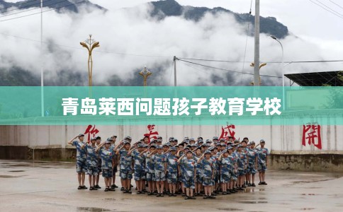 青岛莱西问题孩子教育学校