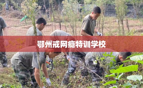鄂州戒网瘾特训学校