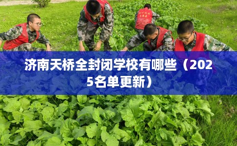 济南天桥全封闭学校有哪些（2025名单更新）