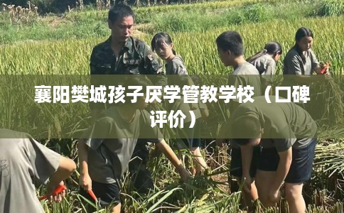 襄阳樊城孩子厌学管教学校（口碑评价）
