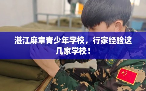 湛江麻章青少年学校，行家经验这几家学校！