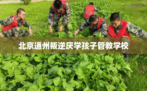 北京通州叛逆厌学孩子管教学校