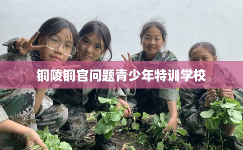 铜陵铜官问题青少年特训学校 铜陵铜官问题青少年特训学校
