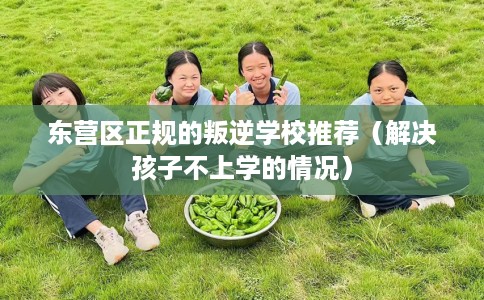 东营区正规的叛逆学校推荐（解决孩子不上学的情况）