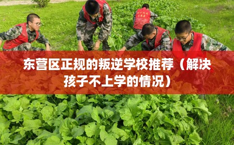 东营区正规的叛逆学校推荐（解决孩子不上学的情况）