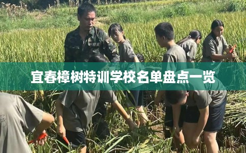 宜春樟树特训学校名单盘点一览