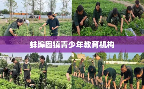蚌埠固镇青少年教育机构