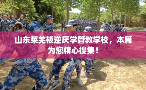 山东莱芜叛逆厌学管教学校，本篇为您精心搜集！
