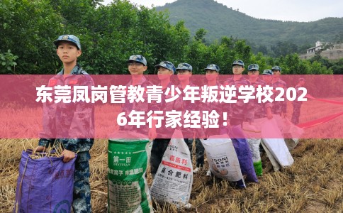 东莞凤岗管教青少年叛逆学校2026年行家经验！