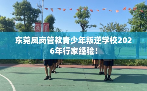 东莞凤岗管教青少年叛逆学校2026年行家经验！