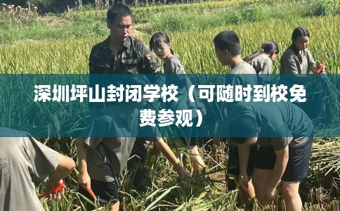 深圳坪山封闭学校（可随时到校免费参观）