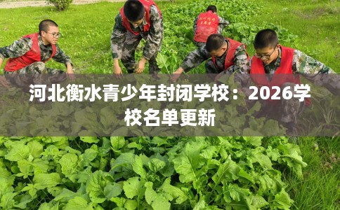 河北衡水青少年封闭学校：2026学校名单更新