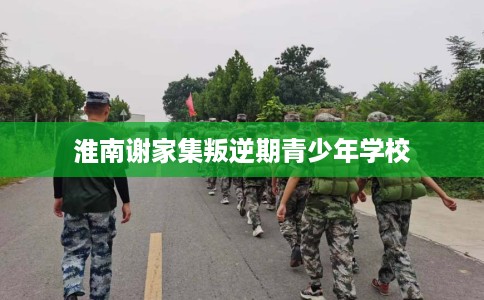 淮南谢家集叛逆期青少年学校