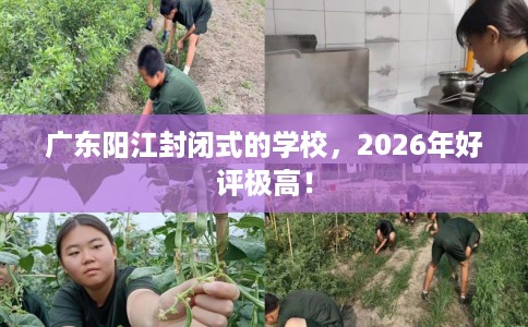 广东阳江封闭式的学校，2026年好评极高！