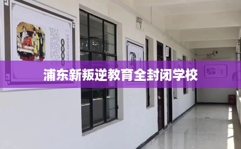 浦东新叛逆教育全封闭学校