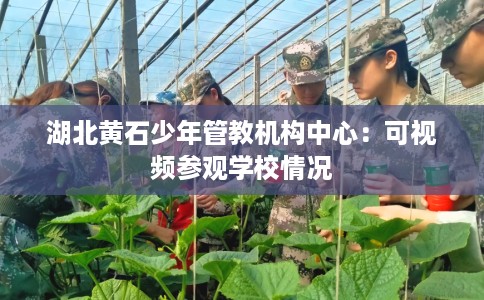 湖北黄石少年管教机构中心：可视频参观学校情况