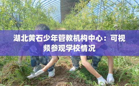 湖北黄石少年管教机构中心：可视频参观学校情况