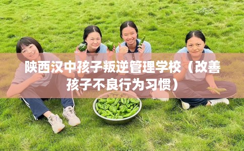 陕西汉中孩子叛逆管理学校（改善孩子不良行为习惯）
