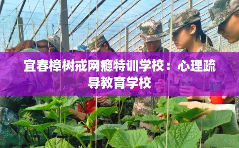 宜春樟树戒网瘾特训学校：心理疏导教育学校