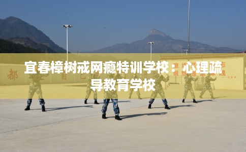 宜春樟树戒网瘾特训学校：心理疏导教育学校
