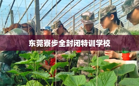 东莞寮步全封闭特训学校