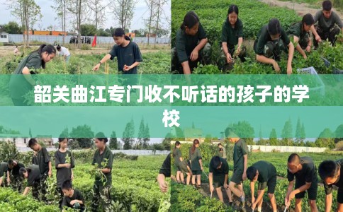 韶关曲江专门收不听话的孩子的学校