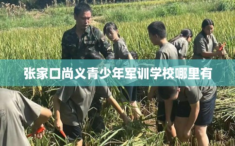 张家口尚义青少年军训学校哪里有