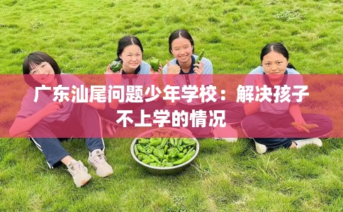 广东汕尾问题少年学校：解决孩子不上学的情况