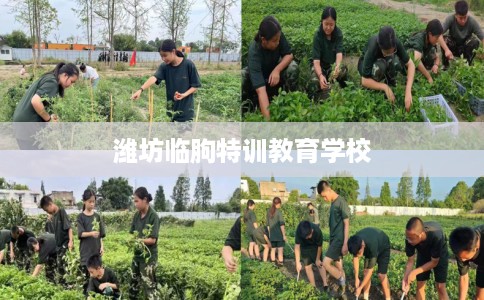 潍坊临朐特训教育学校