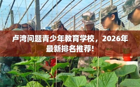 卢湾问题青少年教育学校，2026年最新排名推荐!