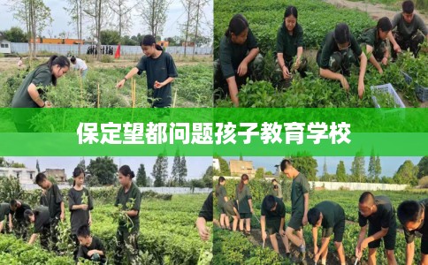 保定望都问题孩子教育学校