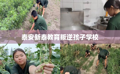 泰安新泰教育叛逆孩子学校