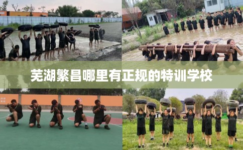 芜湖繁昌哪里有正规的特训学校