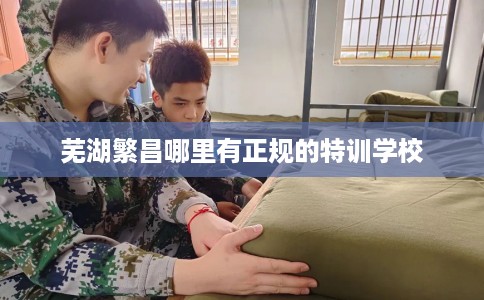 芜湖繁昌哪里有正规的特训学校