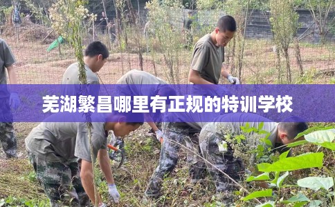 芜湖繁昌哪里有正规的特训学校