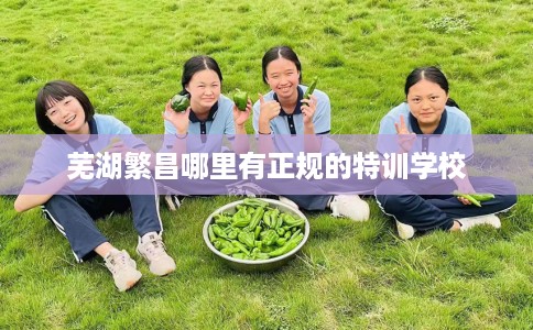 芜湖繁昌哪里有正规的特训学校