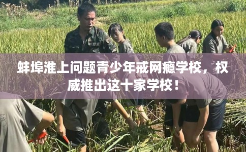 蚌埠淮上问题青少年戒网瘾学校，权威推出这十家学校！