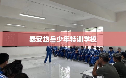 泰安岱岳少年特训学校