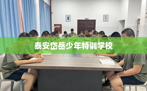 泰安岱岳少年特训学校