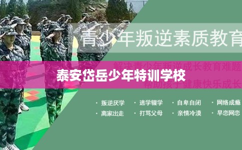 泰安岱岳少年特训学校