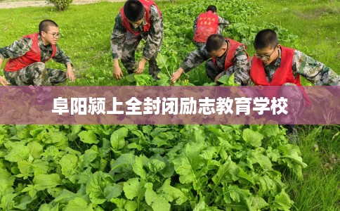 阜阳颍上全封闭励志教育学校
