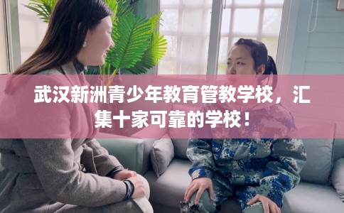 武汉新洲青少年教育管教学校，汇集十家可靠的学校！